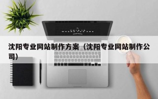 敦煌沈阳专业网站制作方案（沈阳专业网站制作公司）